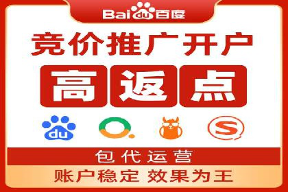 信息流广告的精准定位与效果优化案例分析